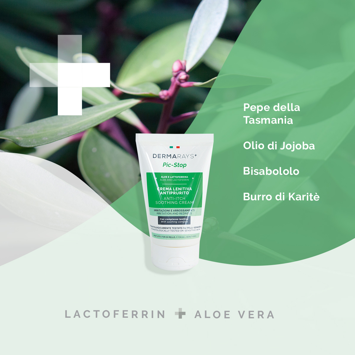 Anti itching lenitive cream  - Ingredients and properties